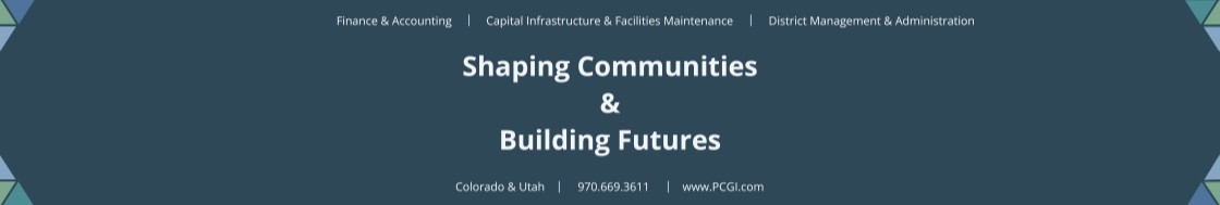 Pinnacle Consulting Group, Inc. cover image
