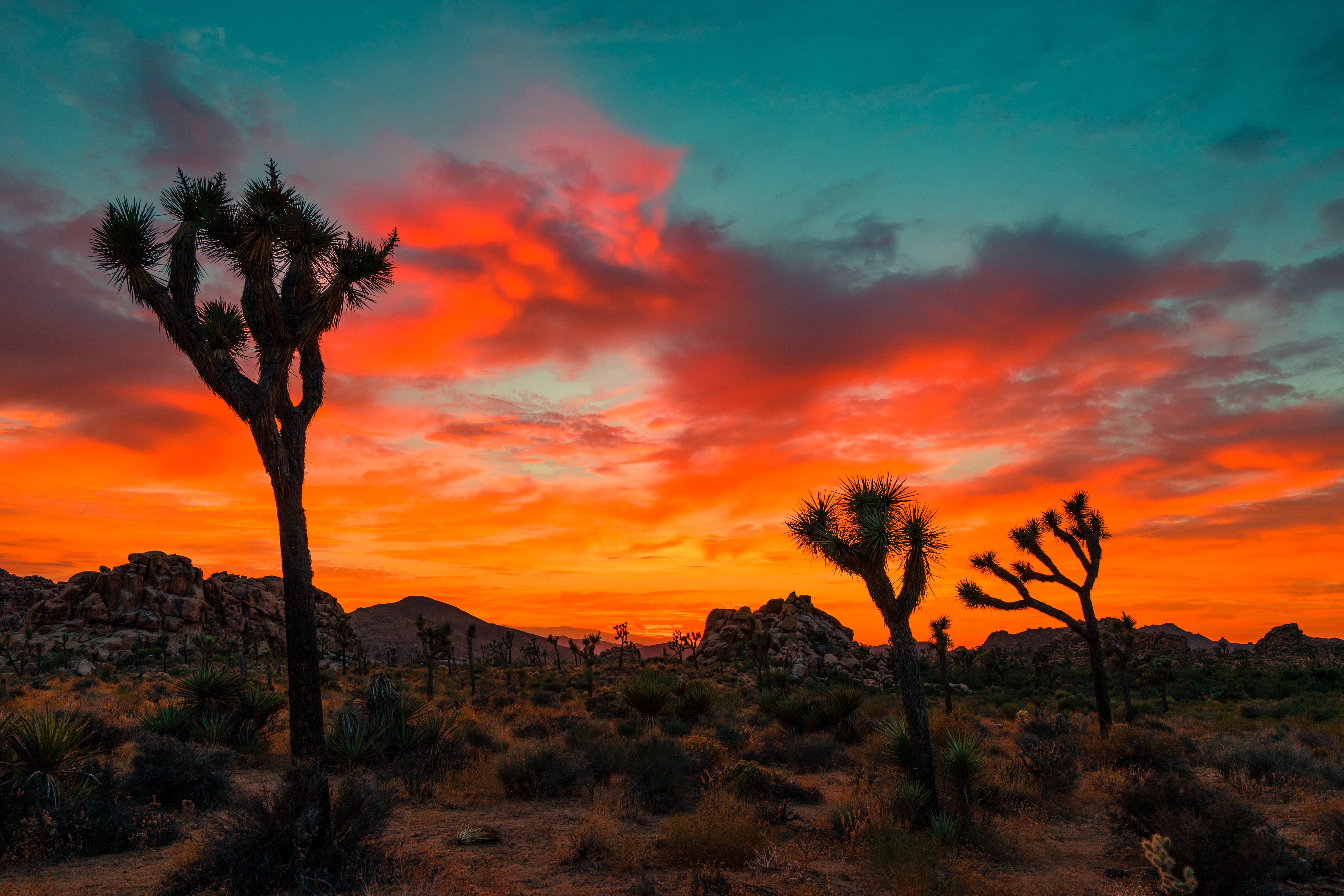 Kingman Unified School District #20 cover image