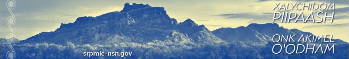 Salt River Pima-Maricopa Indian Community cover image