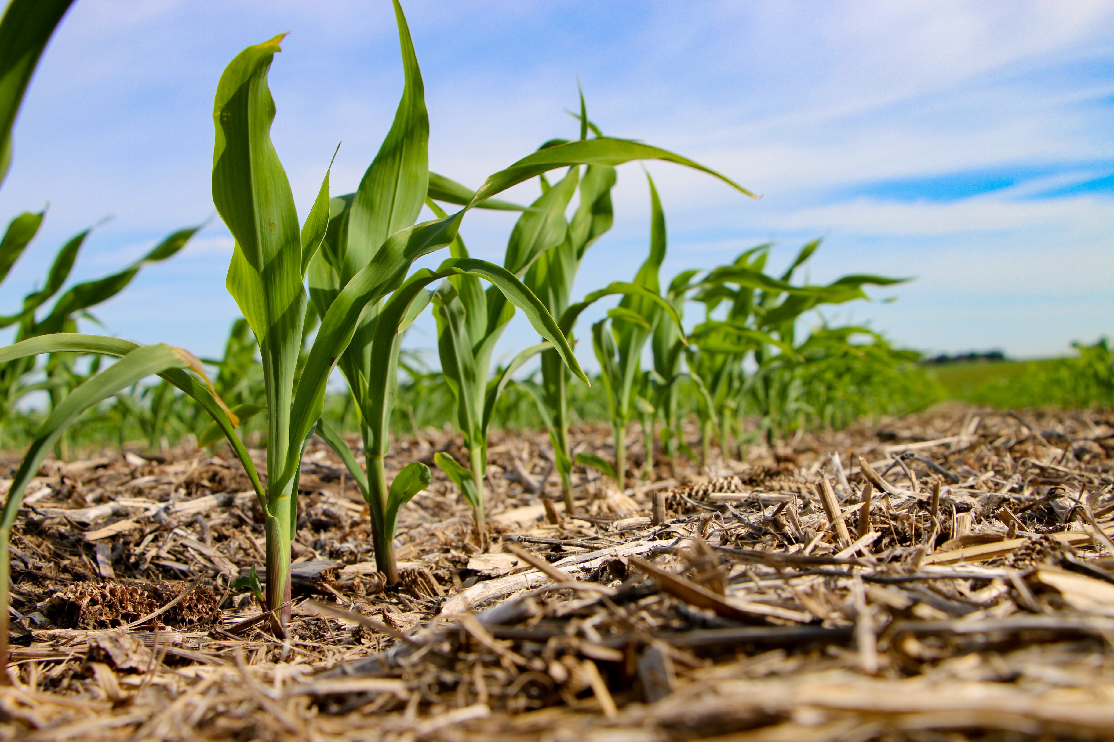 Farmers Coop Society cover image