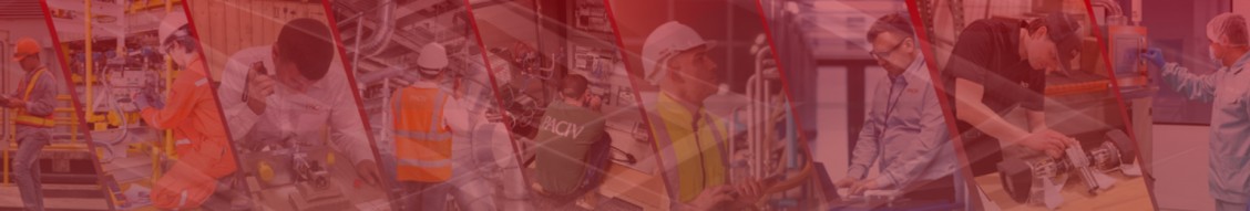 PACIV cover image