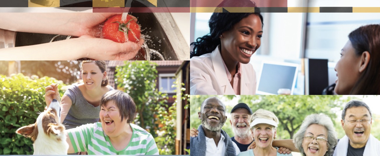 Maryland Department of Health cover image