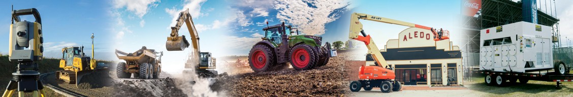 Altorfer Cat cover image
