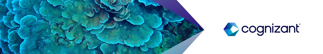 Cognizant cover image