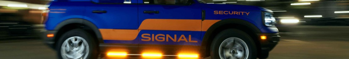 Signal of New England cover image