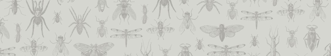 PestCo cover image