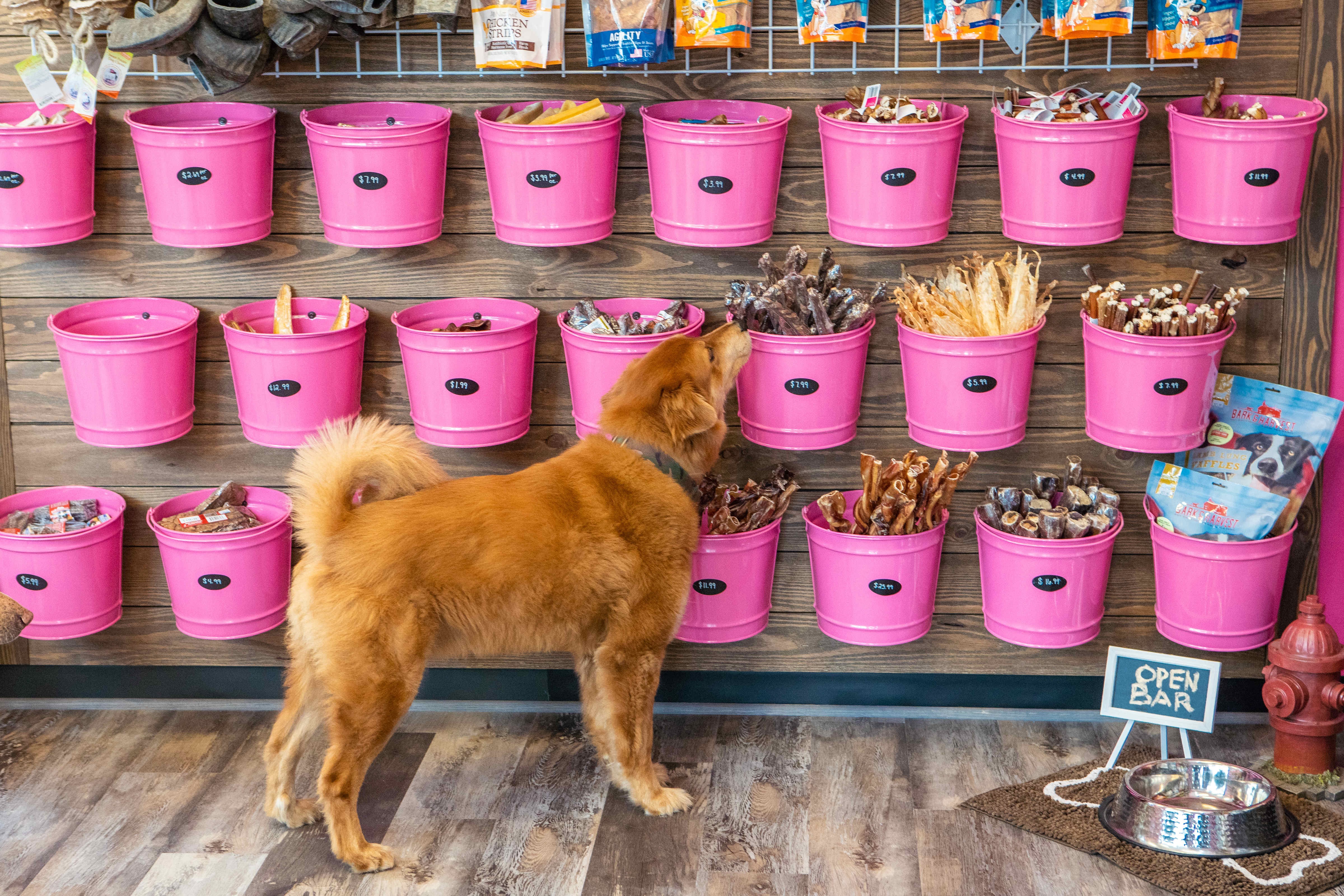 Woof Gang Bakery & Grooming cover image