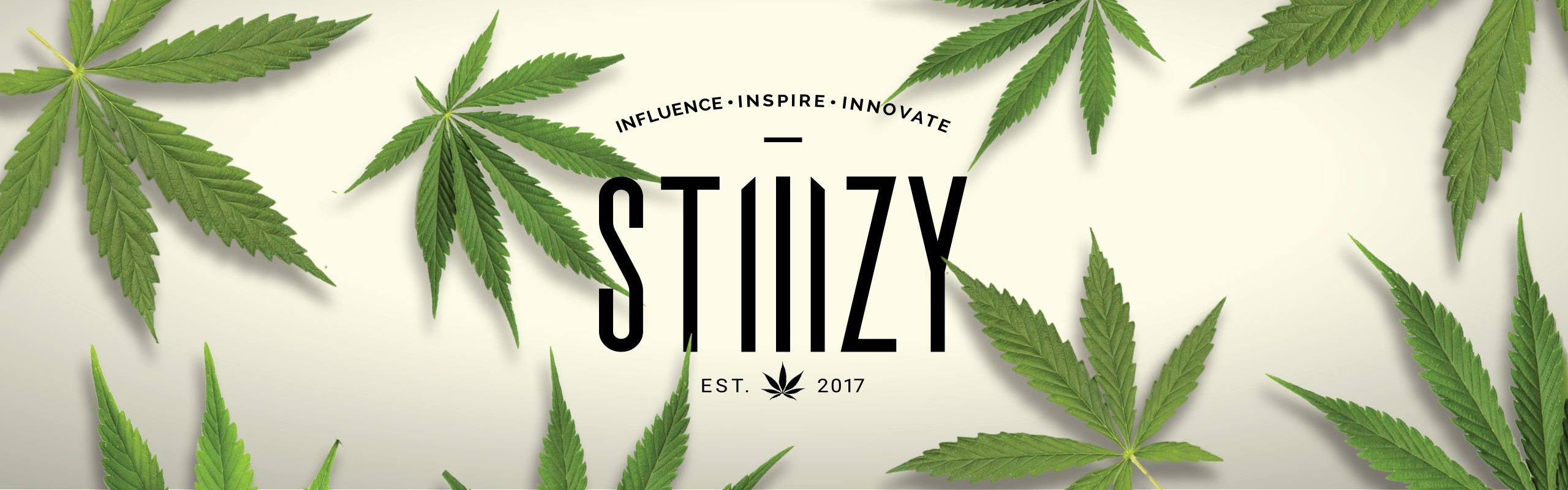 STIIIZY cover image