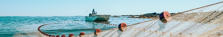 Gulf of Maine Research Institute cover image