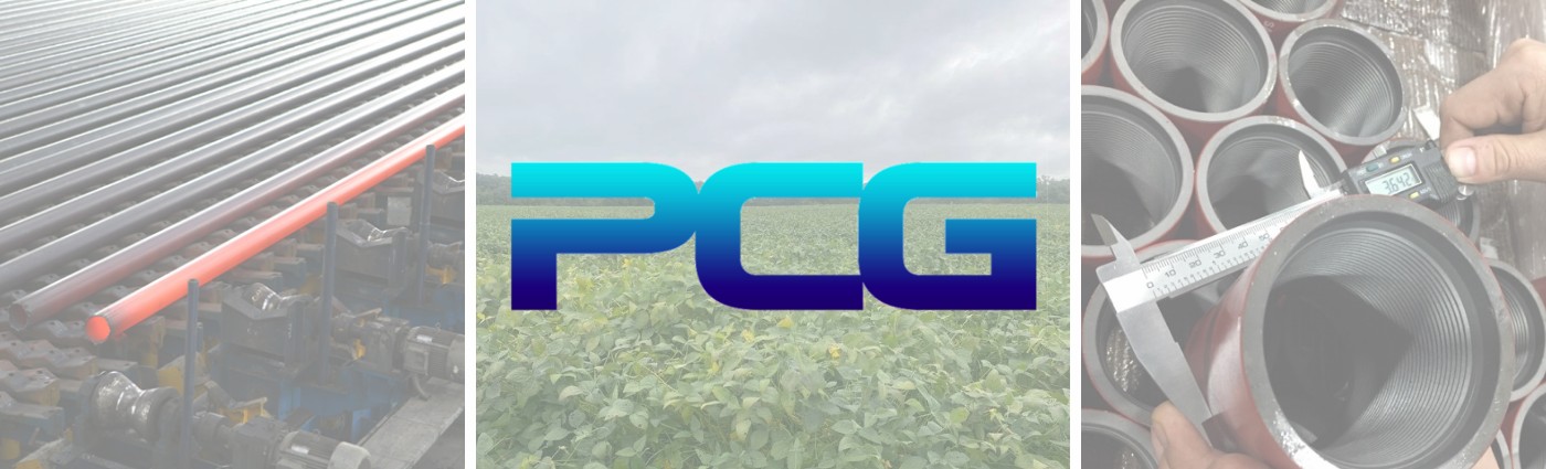 Pearl City Global, LLC. cover image