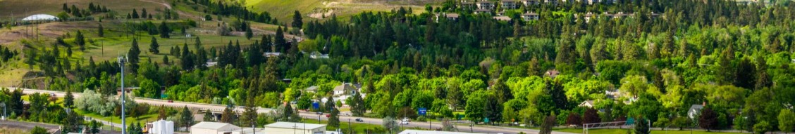 Big Sky Home Health and Hospice cover image