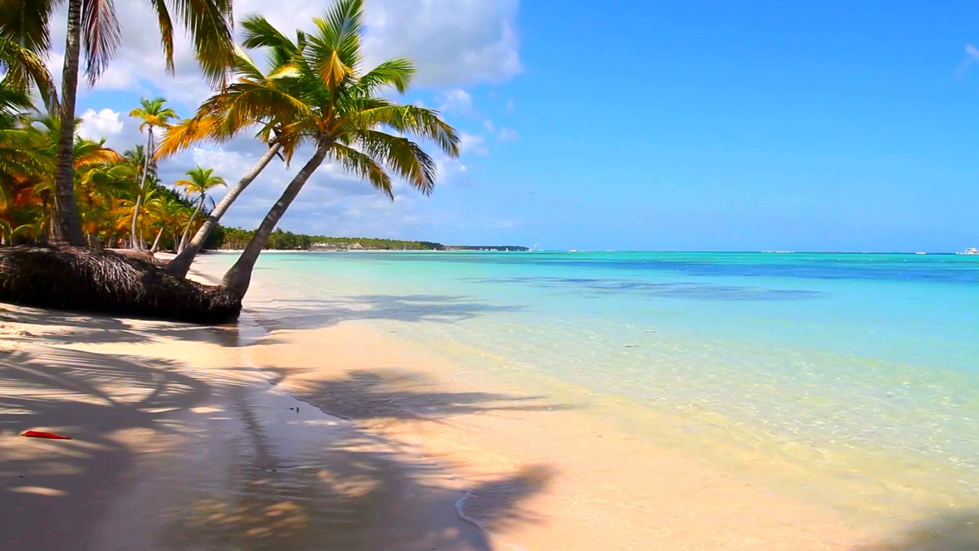 IMCMV Holdings, Inc- Margaritaville Restaurants cover image