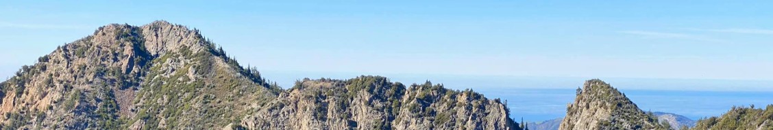 Ventana Wilderness Alliance cover image