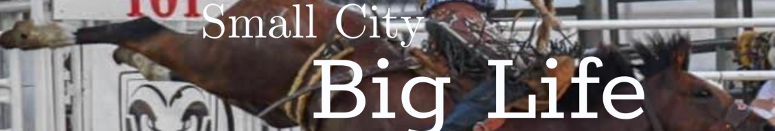 Ponca City Development Authority cover image