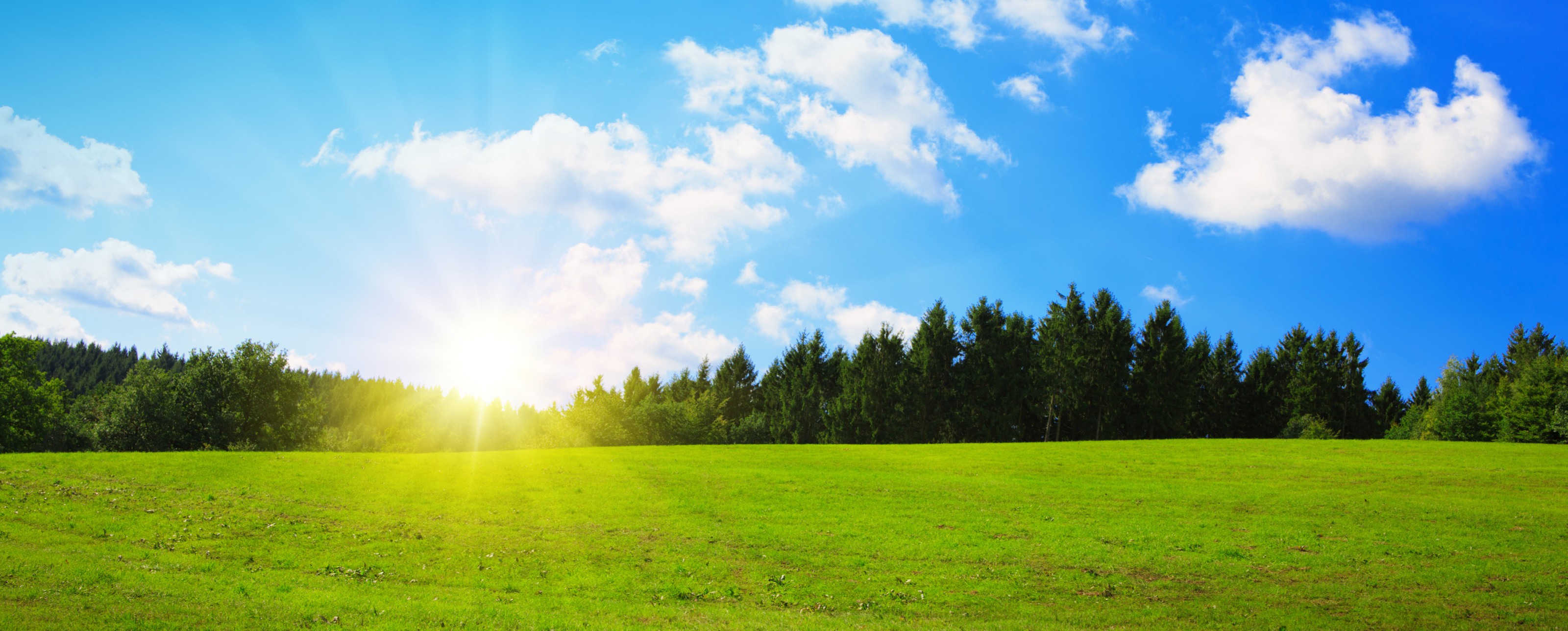 SUN Behavioral Health cover image