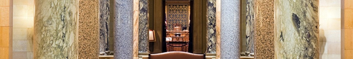 Minnesota Judicial Branch cover image