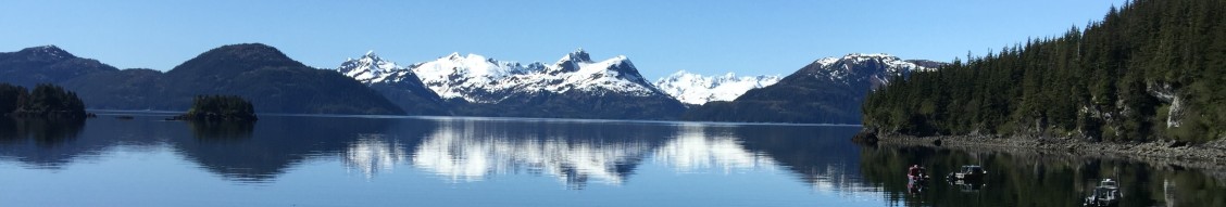 Chenega Corporation cover image