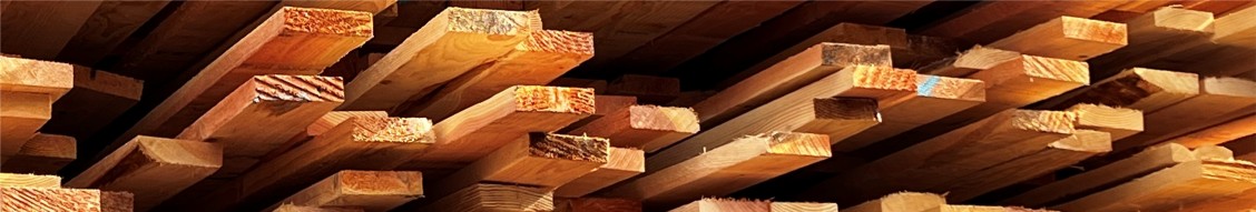 Hampton Lumber cover image