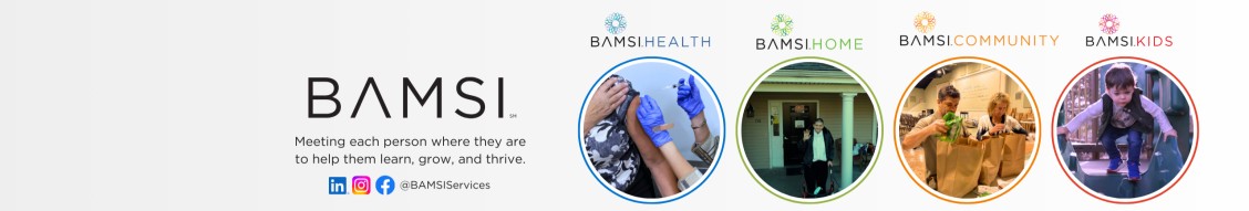 BAMSI cover image