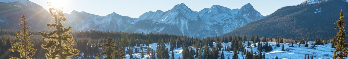 The Conservation Fund cover image