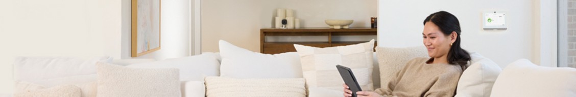 Brinks Home cover image