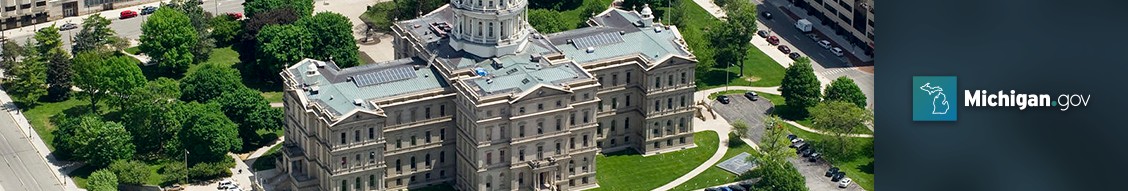State of Michigan cover image