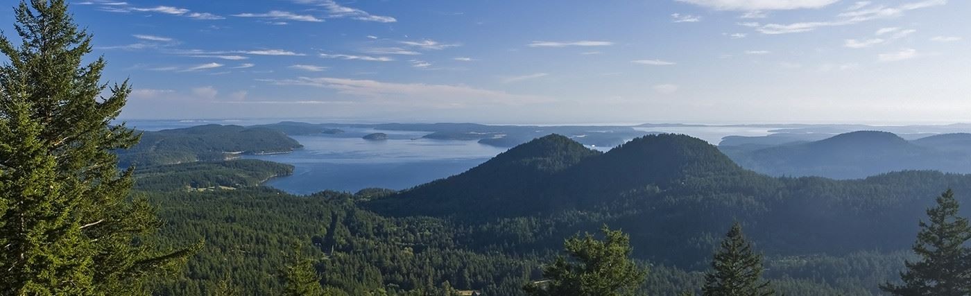 SAN JUAN COUNTY cover image