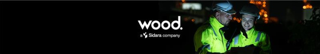 Wood cover image