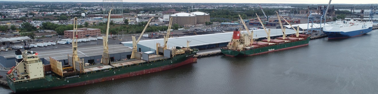 Delaware River Stevedores, Inc. cover image