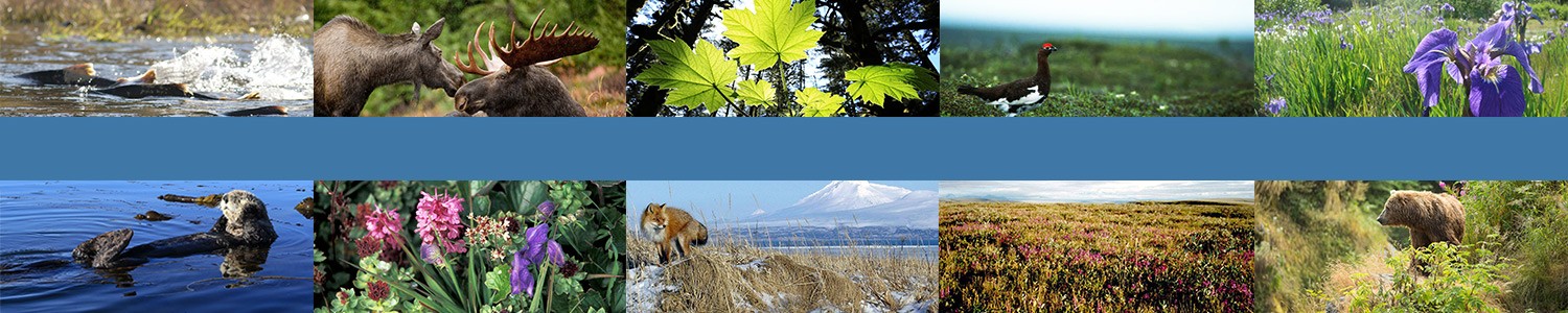 State of Alaska cover image