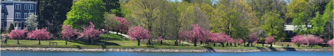 Town of Brookline cover image