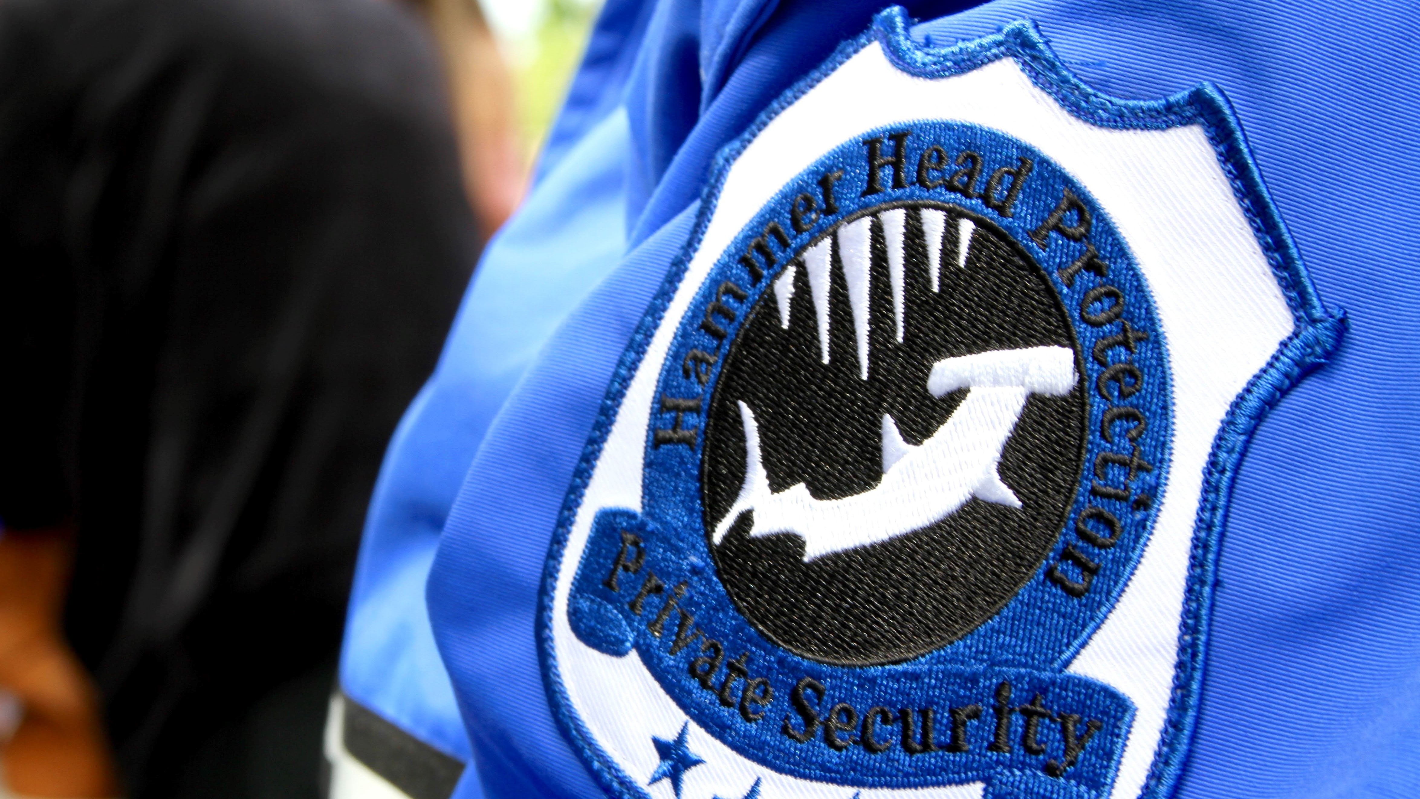 Hammer Head Security cover image