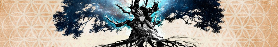 Burning Man Project cover image