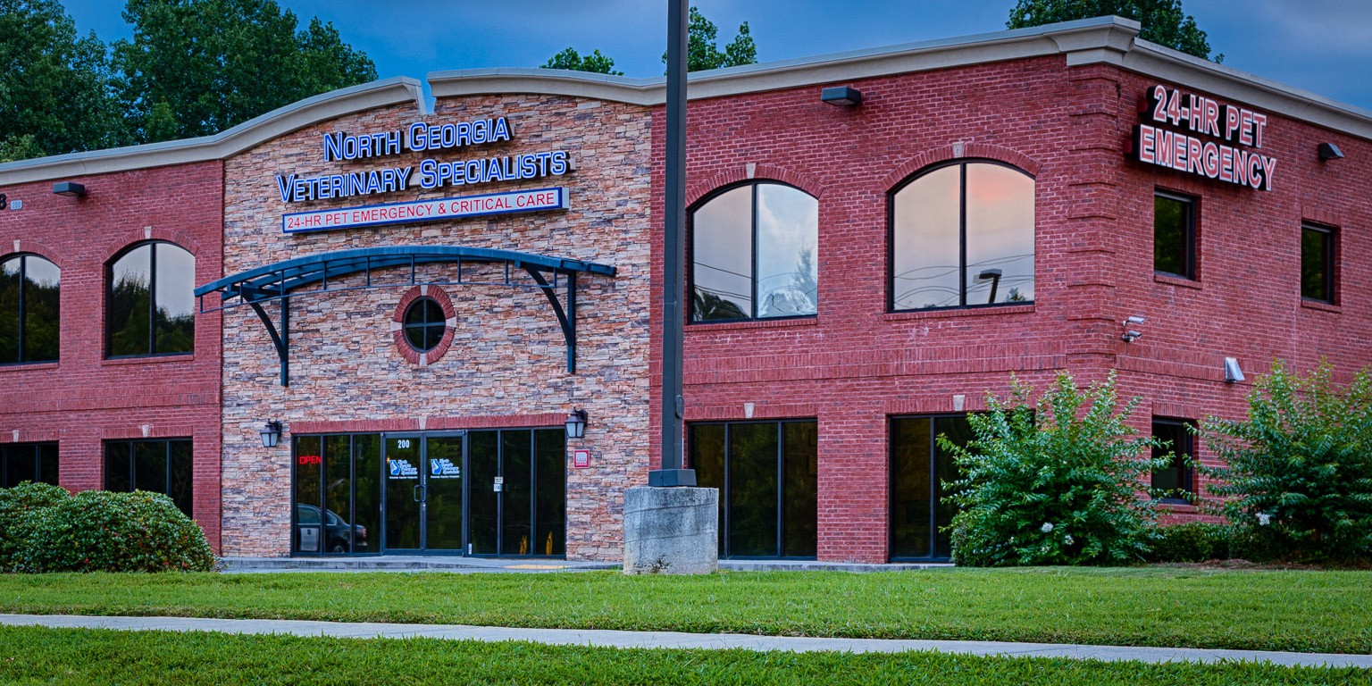 North Georgia Veterinary Specialists, LLC cover image