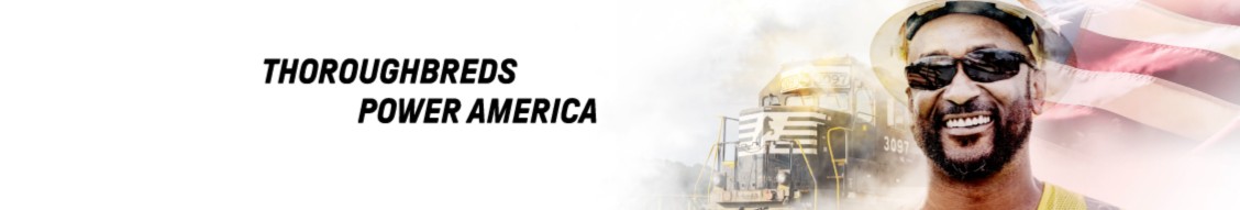 Norfolk Southern cover image
