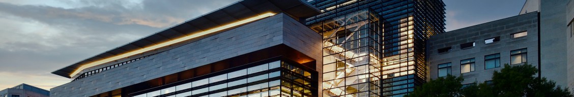 Johns Hopkins SAIS MIEF cover image