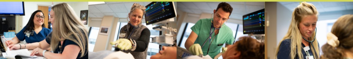 UVM Health - Champlain Valley Physicians Hospital cover image
