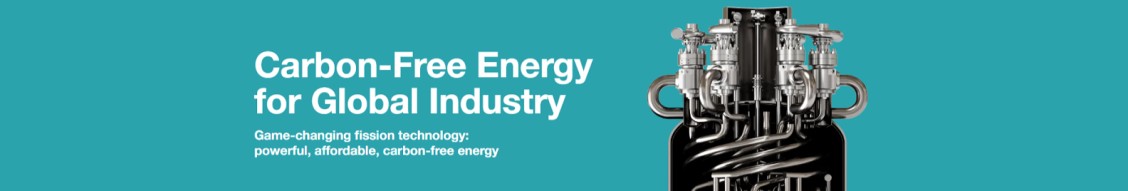 Terrestrial Energy cover image
