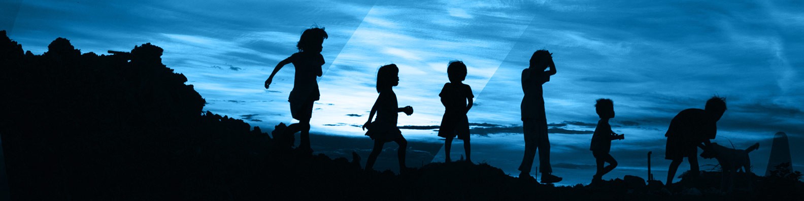 Zander Insurance cover image