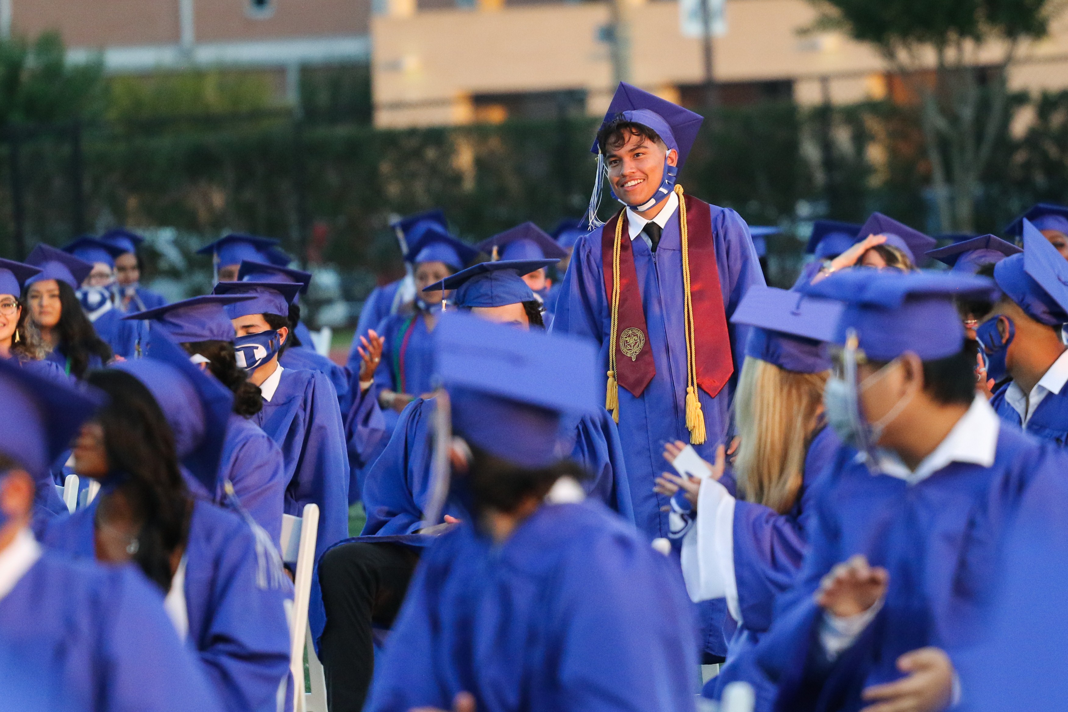 DISD cover image