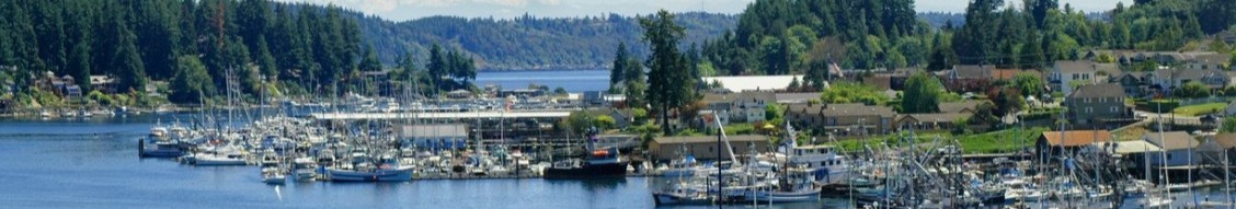 City of Gig Harbor cover image