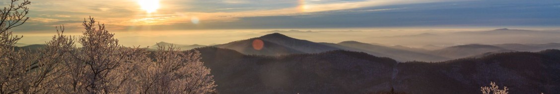 Buncombe County Government cover image