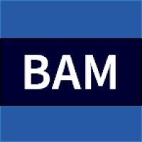 BAM Technologies, LLC logo