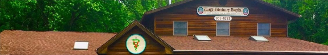 Village Veterinary Hospital cover image