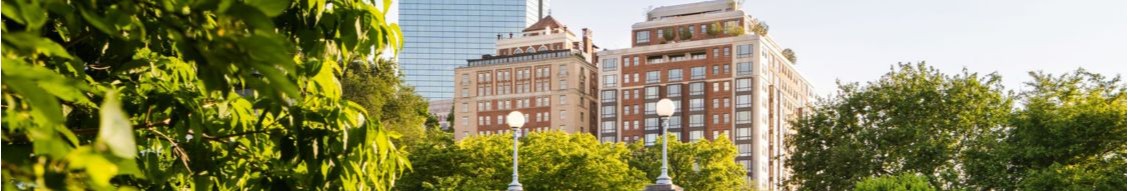 The Newbury Boston cover image