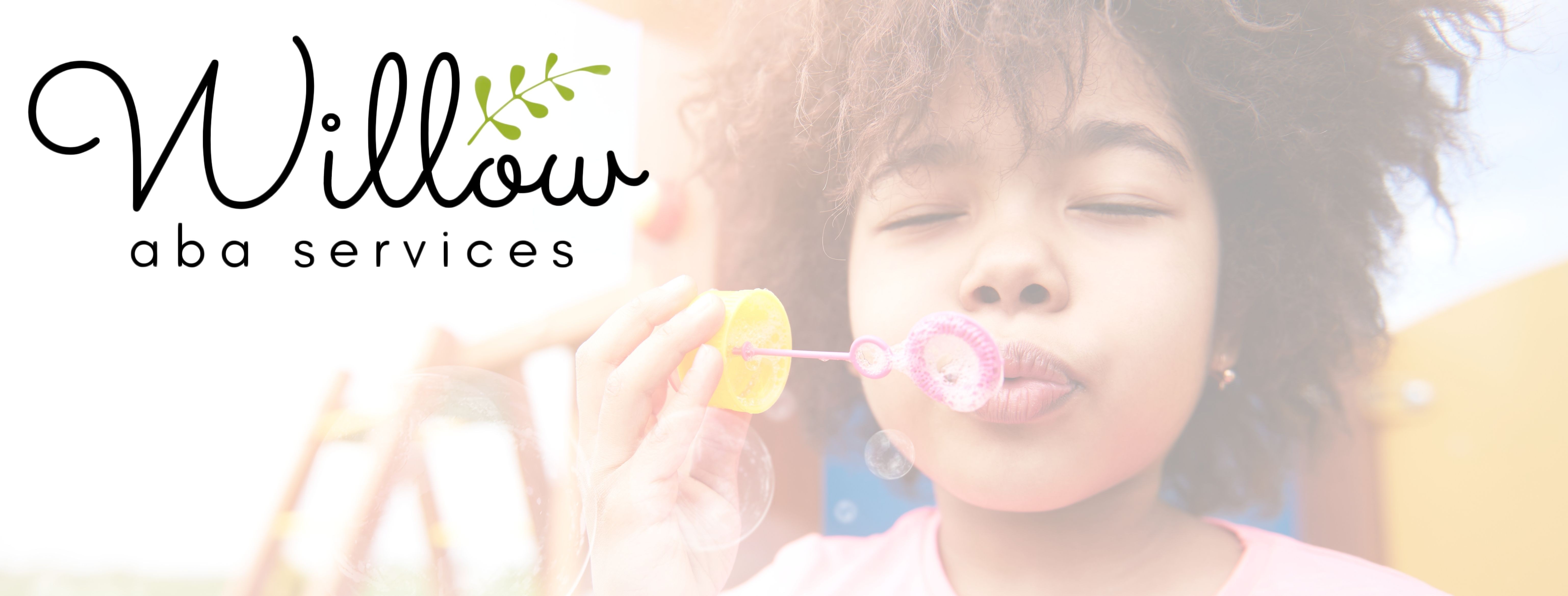 Willow ABA Services cover image