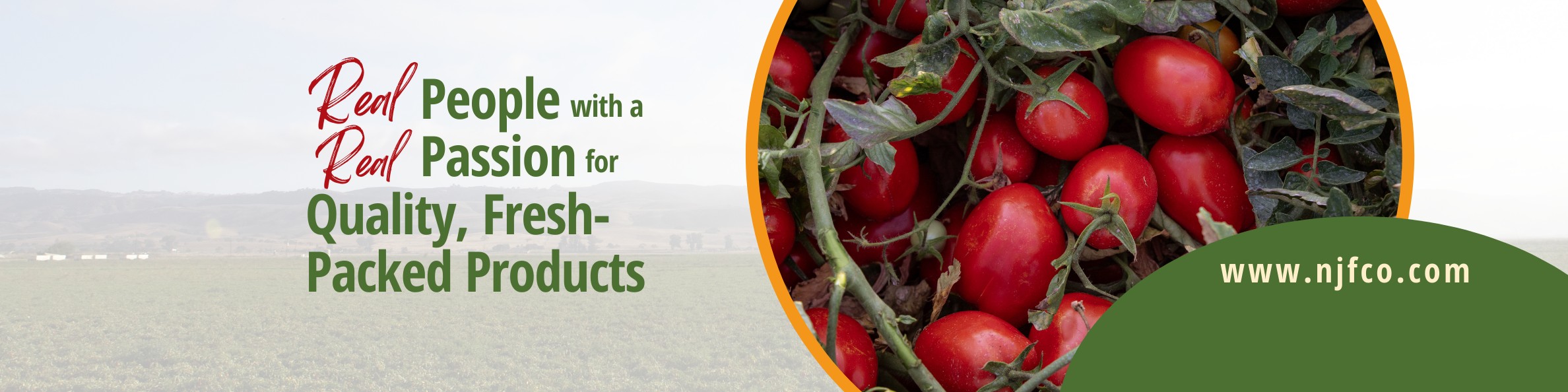 The Neil Jones Food Company cover image