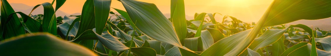 Innovative Ag Services cover image