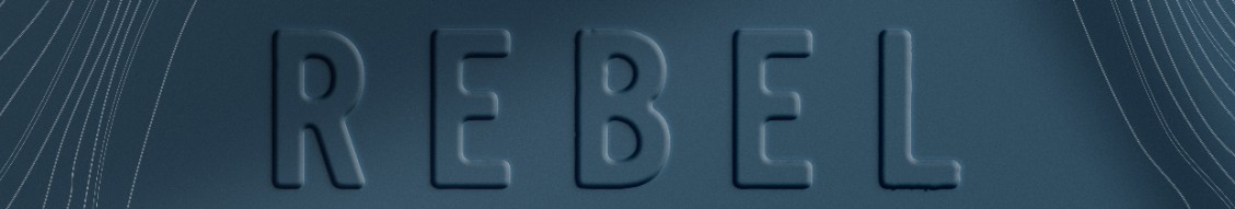 Rebel Hotel Company cover image