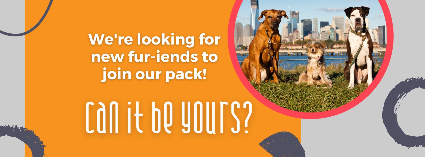 Metropawlitan Petsitters cover image